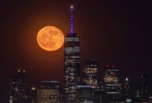 Flower Moon Tonight: What to Expect From the Micromoon