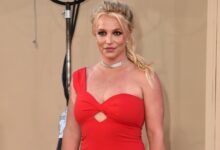 Britney Spears pleads guilty to lesser ‘wet reckless’ charge in DUI case and avoids jail time - WTOP News
