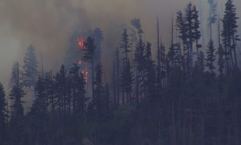 Fatal medevac crash fuels wildfire, drives New Mexico evacuations Fatal medevac crash fuels wildfire, drives New Mexico evacuations