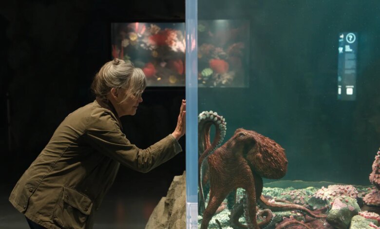 Sally Field on "Remarkably Bright Creatures" and why she isn't done yet