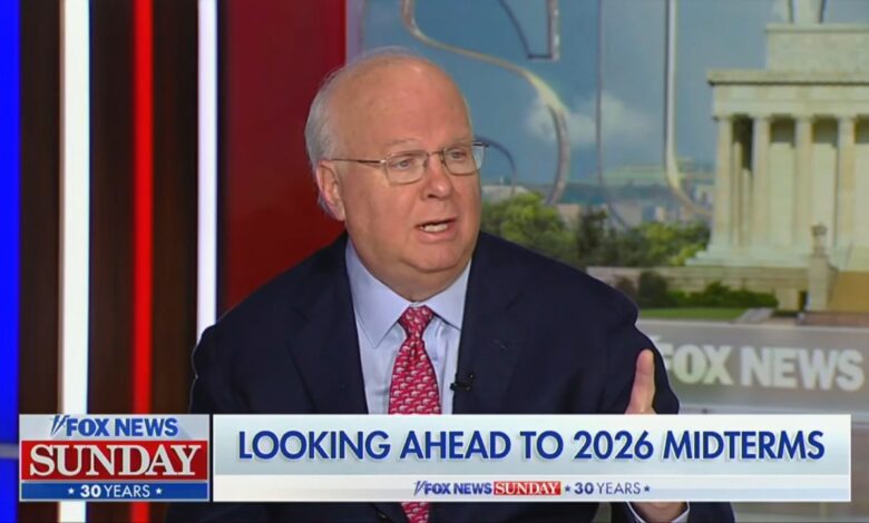 Karl Rove: Republicans Can't Depend on Trump to Win Midterms
