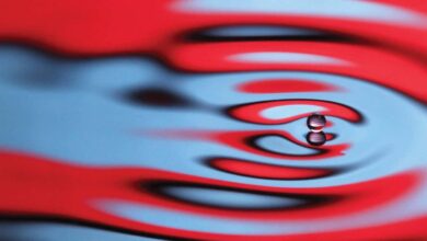 Quantum ‘pilot wave’ tests revive Bohmian reality