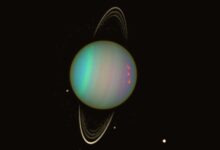 Uranus Rings Reveal a Surprising Two-Part Composition