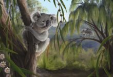 Extinct relative of koalas discovered in Western Australia