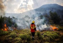 Global Warming and El Niño: 2026 Hot Record Forecast