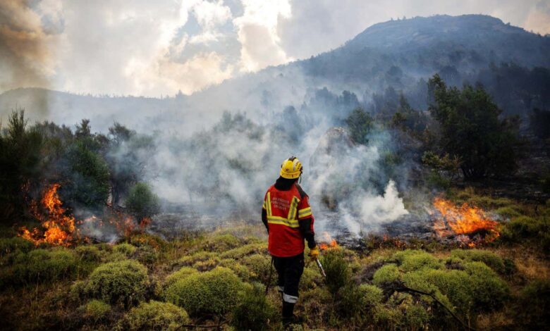 Global Warming and El Niño: 2026 Hot Record Forecast