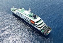 Hantavirus: Where has the deadly cruise ship outbreak come from?