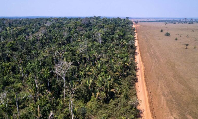 Deforestation could trigger Amazon tipping point in the 2030s