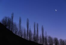 May’s Milky Way Viewing Tips: Key Night Sky Events