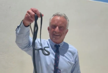RFK Jr. bare-hand grabs black racers on Oz’s patio