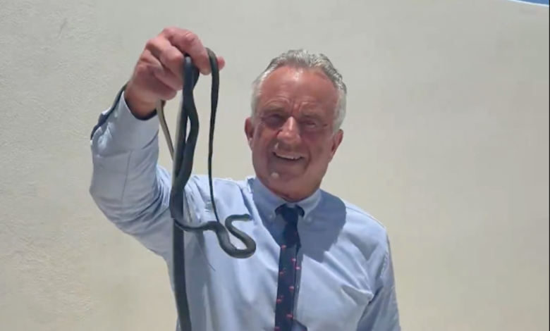 RFK Jr. bare-hand grabs black racers on Oz’s patio RFK Jr. bare-hand grabs black racers on Oz’s patio