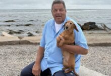 Steve Schirripa’s WillieBoy Kids Book Takes Off