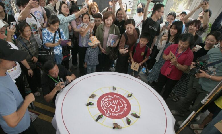 A Taiwanese town embraces a slow pace of life through a snail race - WTOP News