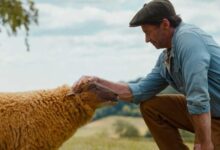 The Sheep Detectives Review: Charm in a Cozy, Odd Mystery