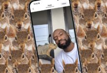 DualShot Recorder: Keyphrase camera app by squirrel dad