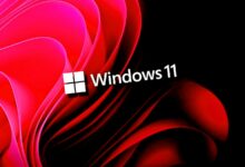 KB5083769 Windows 11 Breaks Backup Apps
