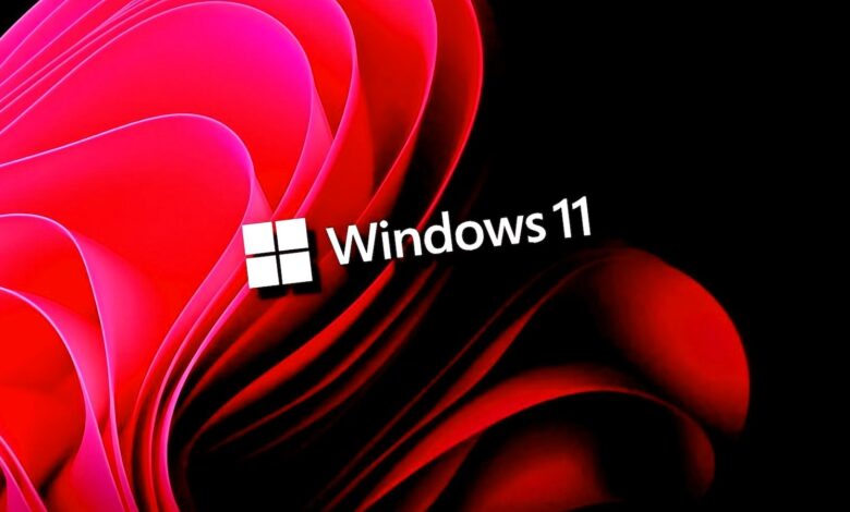 KB5083769 Windows 11 Breaks Backup Apps