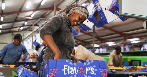 China’s Zero-Tariff Policy Boosts African Export Confidence