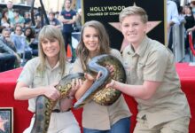 Robert and Terri Irwin give update on Bindi Irwin amid her endometriosis battle