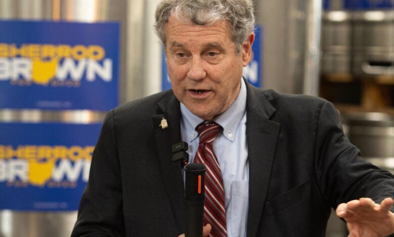 Ohio Senate race set between Jon Husted, Sherrod Brown after projected primary wins