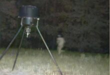 Manhunt for retired special forces soldier accused of shooting wife enters 5th day in Tennessee