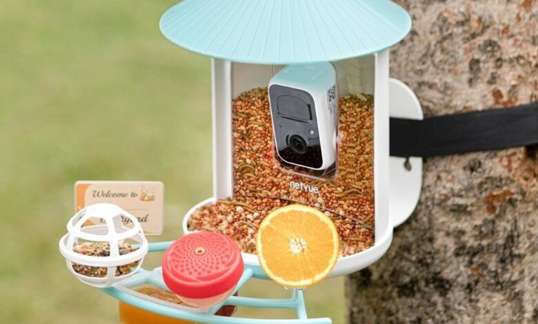 Birdfy Smart Feeder Deals: Up to 0 Off for Mother’s Day