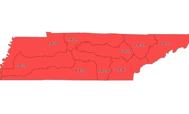 Tenn Gov Lee calls special session to redraw House map in GOP's favor 9-0