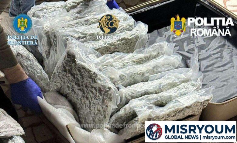 Dublă cetățenie: tânăr reținut cu 11 kilograme de canabis pe A2