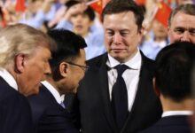 US CEOs in China: what they want with Trump