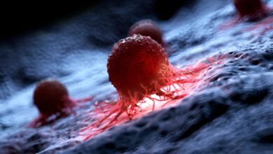 Inovație în tratarea cancerului prin terapia CAR-T