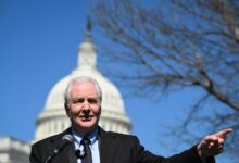 Democrats face backlash over Gaza accountability vacuum