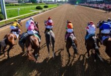 Turf Classic Stakes: Picks, Win and Trifecta Picks 2026