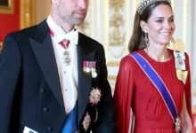 Prince William and Kate Welcome New Family Pet Otto