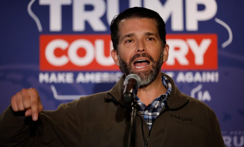 White House push sped up Vulcan loan amid conflicts