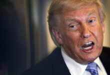 Trump creates .776 billion fund after IRS lawsuit drop
