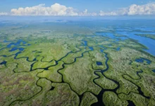 Budget conference narrows gaps on Everglades, wastewater spending
