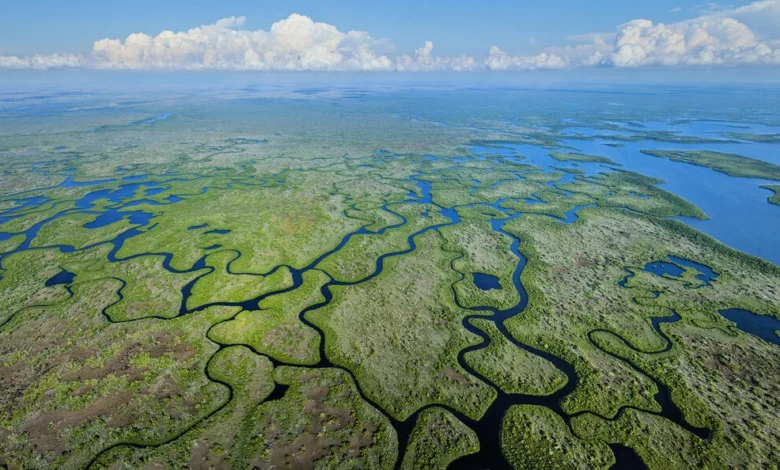 Budget conference narrows gaps on Everglades, wastewater spending