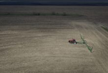 Iran war strains fertilizer supply as Trump policy hits farmers