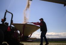Fertilizer shock squeezes farmers as Iran war blocks Hormuz