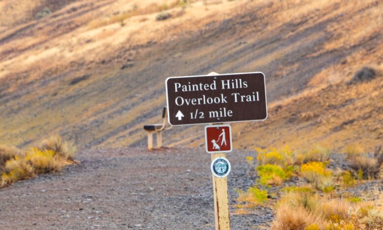 These lesser-known parks can beat big crowds this summer