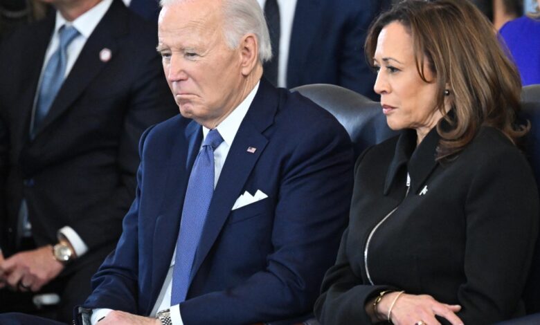 Democrats’ democracy message lost to costs, structure