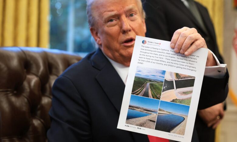 From Truth Social to judicial decisions: Groups challenging Trump's actions get help from his posts