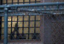 Third-Country Deportations Drive Asylum Claim Abandonment
