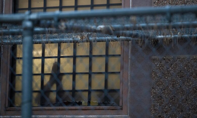 Third-Country Deportations Drive Asylum Claim Abandonment