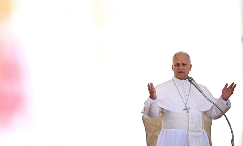 Pope Leo XIV warns AI must be slowed