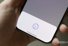 The Pixel 11 may not get the Face ID competitor we were expecting