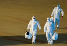Hantavirus “Hebrew scam” claims spread as platforms delay