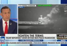 Issa Says Iran Deal Could Drag On for Trump