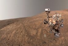 Could this fungus live on Mars? Maybe it already does