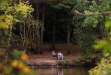 Massachusetts Fish Kills Spotted in Boston, Worcester Ponds